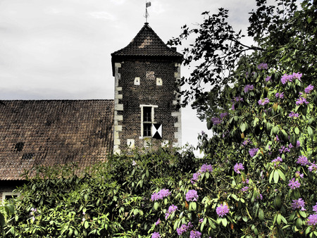 towerのeditorial素材