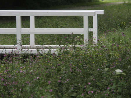 bridgeのeditorial素材