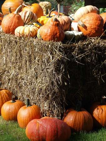 kuerbisの写真素材