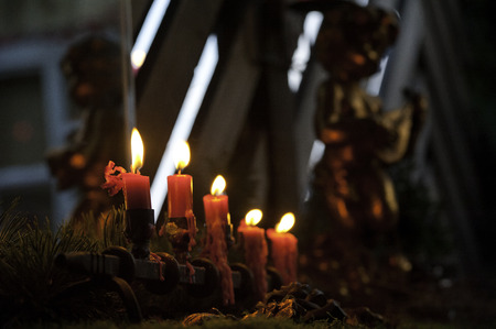 gardenの写真素材