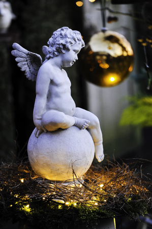 angelの写真素材