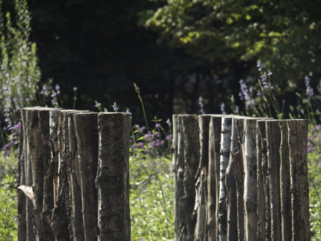 fenceの写真素材