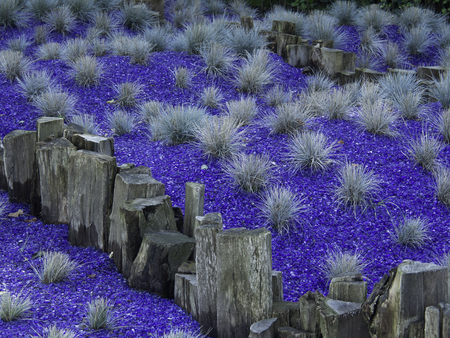 colorfulの写真素材