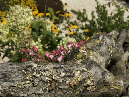 Gardenの写真素材