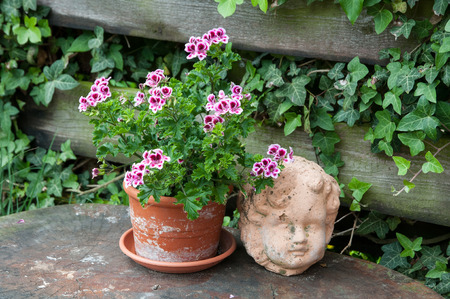 garden decorations