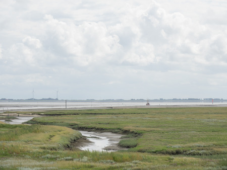 mud flat