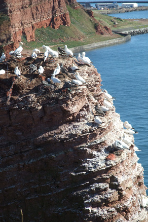 Helgoland