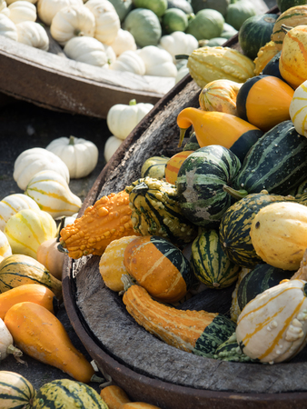 kuerbisの写真素材