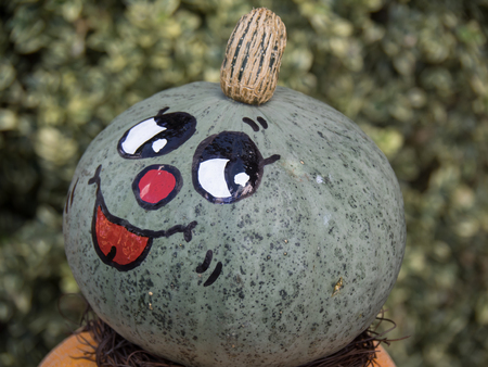 pumpkinの写真素材