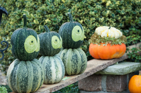 pumpkinsの写真素材