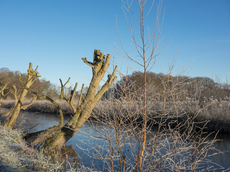 park frostの写真素材