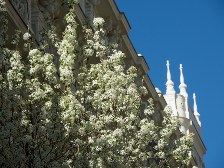 Madridの写真素材