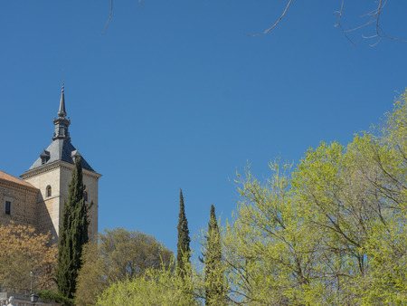 tree in toledoのeditorial素材