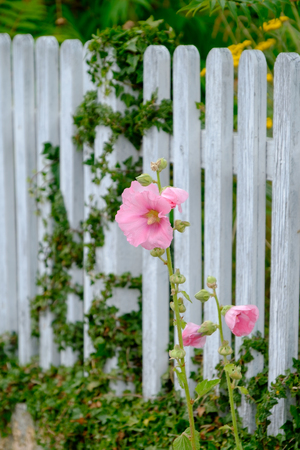 fenceの写真素材