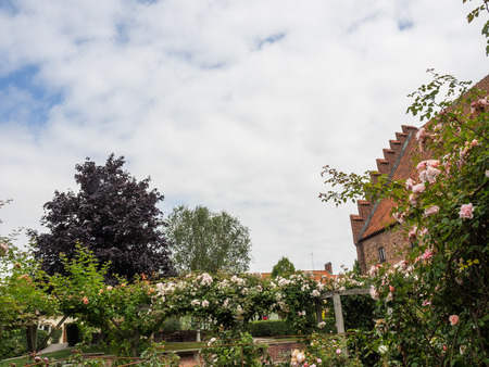 Roses at the monastery