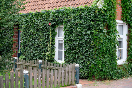 House and fenceの写真素材