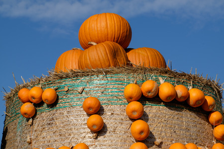 gourds and strawの写真素材
