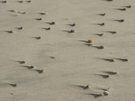 sandの写真素材