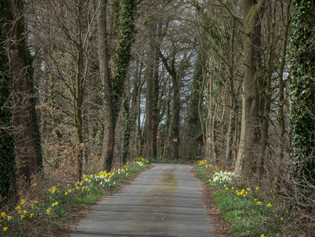 avenueの写真素材