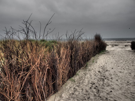 beach juistの写真素材