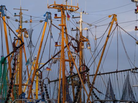 ships in the harbor