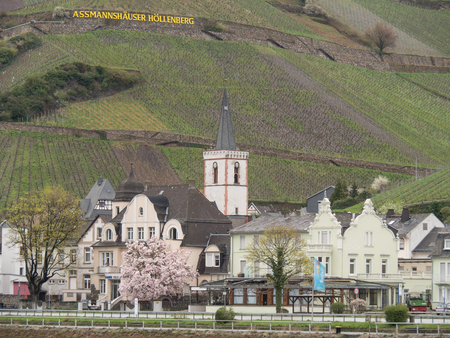 at the rhine