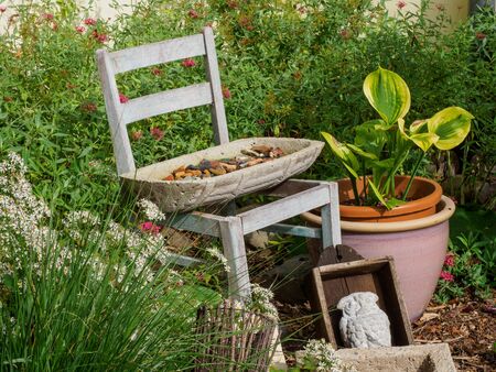 Chair in the gardenの写真素材