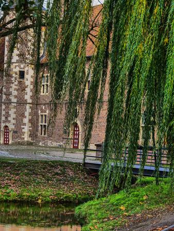 Tree at the castleのeditorial素材