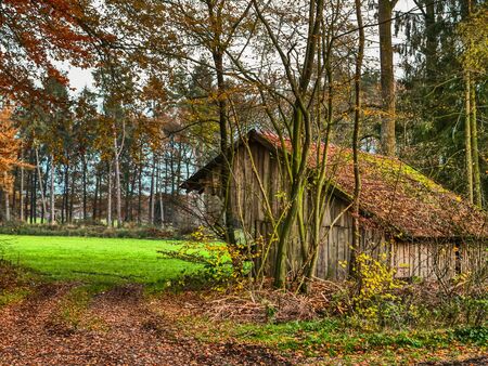 Hut in the woodsの写真素材