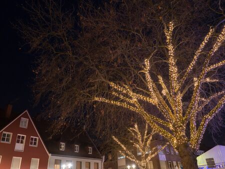 tree and housesの写真素材