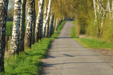 Spring in Germanyの写真素材