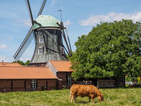 German windmillの写真素材