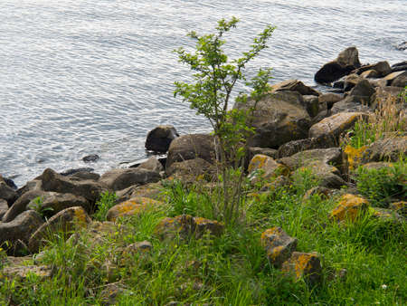 the dutch city of urkの写真素材