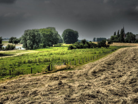 the rhine river near weselの写真素材