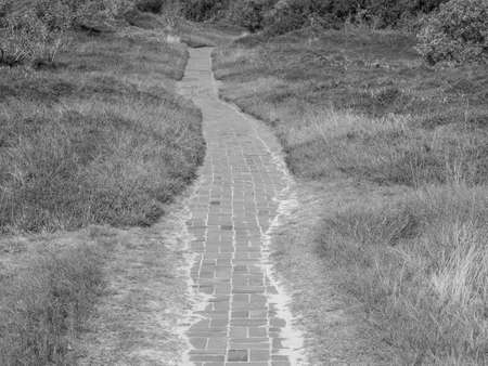 german island in the north seaの写真素材