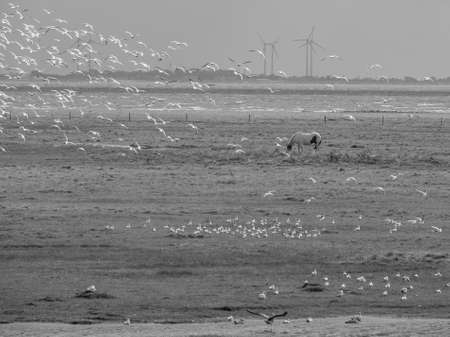 german island in the north sea