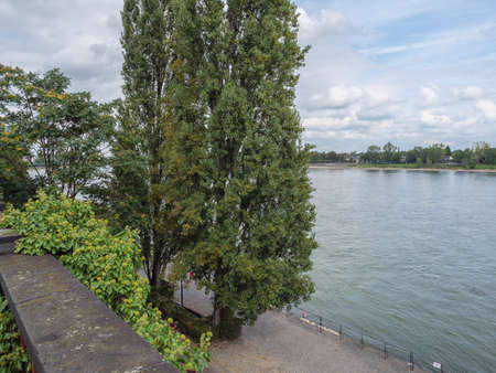 the river rhine near bonnの写真素材