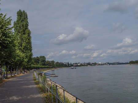 the river rhine near bonnの写真素材