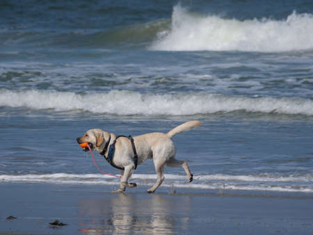 at the beach