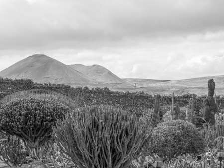 Lanzarote Islandの写真素材