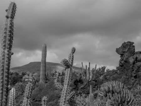 Lanzarote Islandの写真素材