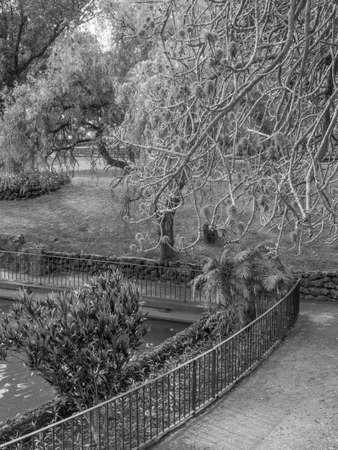 Madeira islandの写真素材