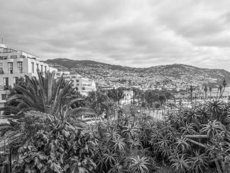 Madeira islandの写真素材