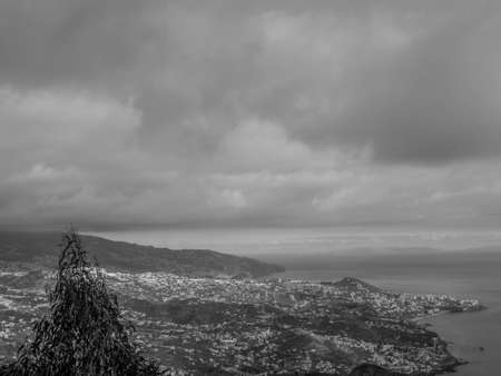 Madeira islandの写真素材