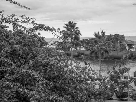 the island of Madeiraの写真素材