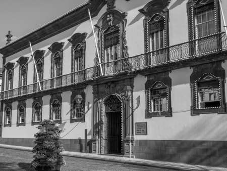 the island of Madeiraの写真素材