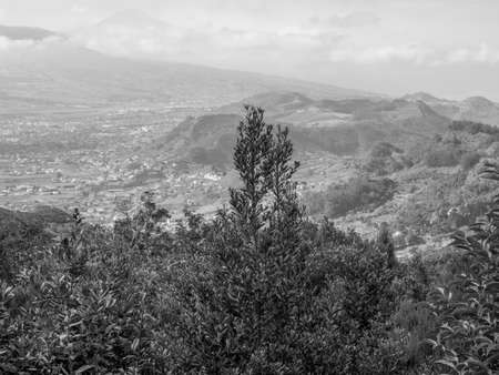 the island of Tenerifeの写真素材