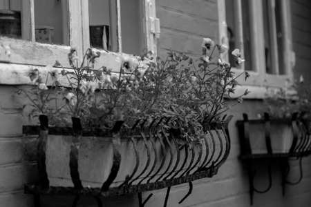 svaneke on the island of Bornholmの写真素材