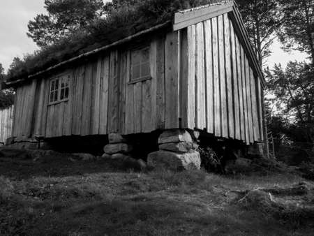 summer time in norwayの写真素材