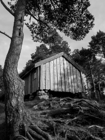 summer time in norwayの写真素材